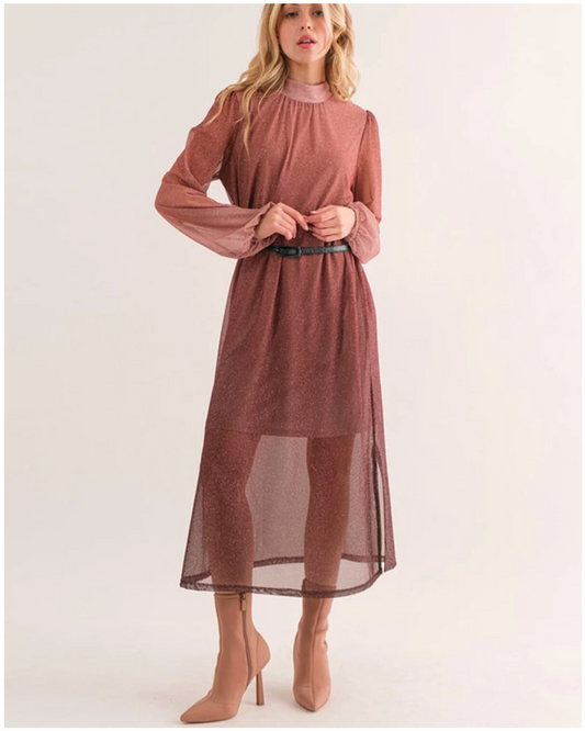 Woman wearing a long-sleeve, high-neck dress with sheer panels on a white background